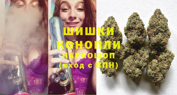 ПСИЛОЦИБИНОВЫЕ ГРИБЫ Баксан