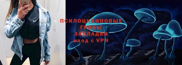 ПСИЛОЦИБИНОВЫЕ ГРИБЫ Баксан