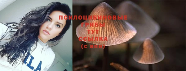 ПСИЛОЦИБИНОВЫЕ ГРИБЫ Баксан