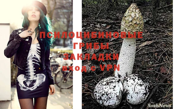 ПСИЛОЦИБИНОВЫЕ ГРИБЫ Баксан