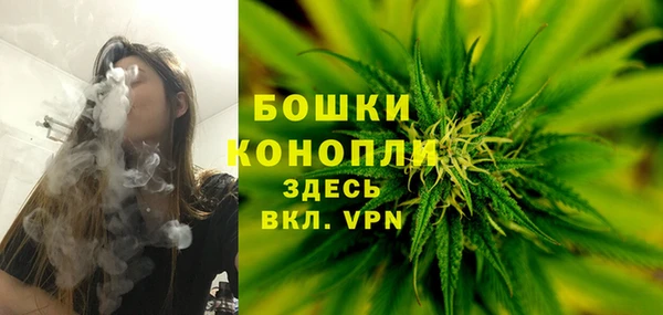 стаф Балахна