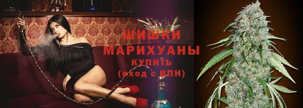 стаф Балахна